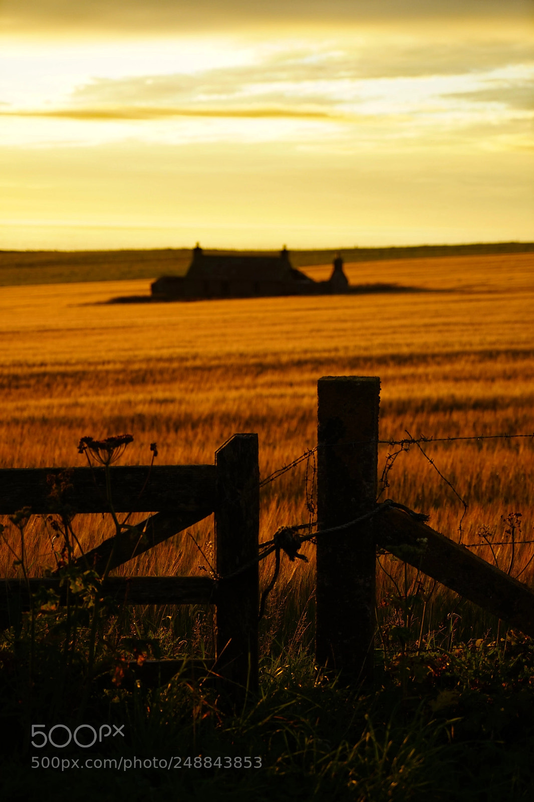 Sony a7 sample photo. The gate, birsay, orkney photography