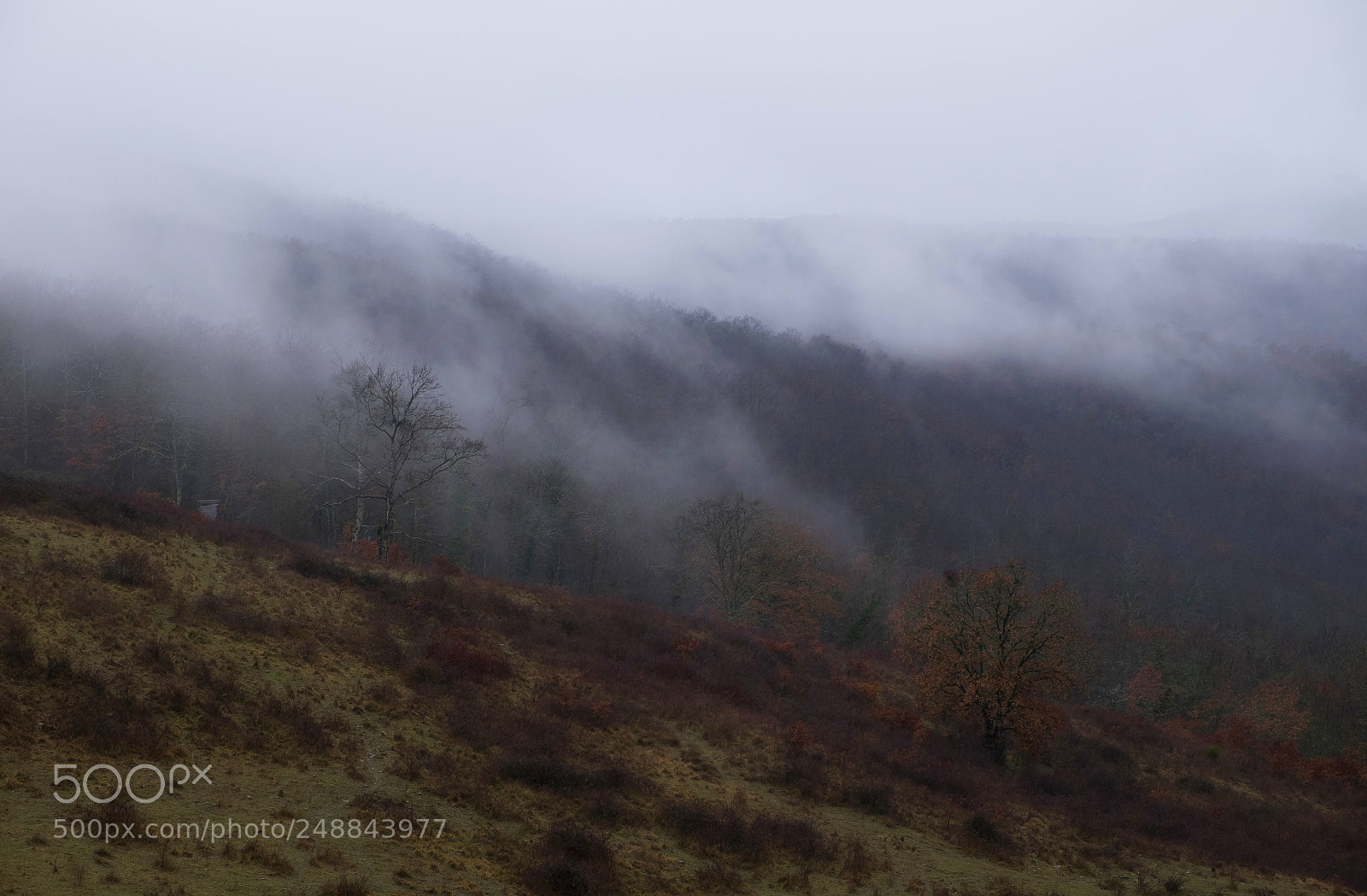 Fujifilm X-E2 sample photo. Foggy photography