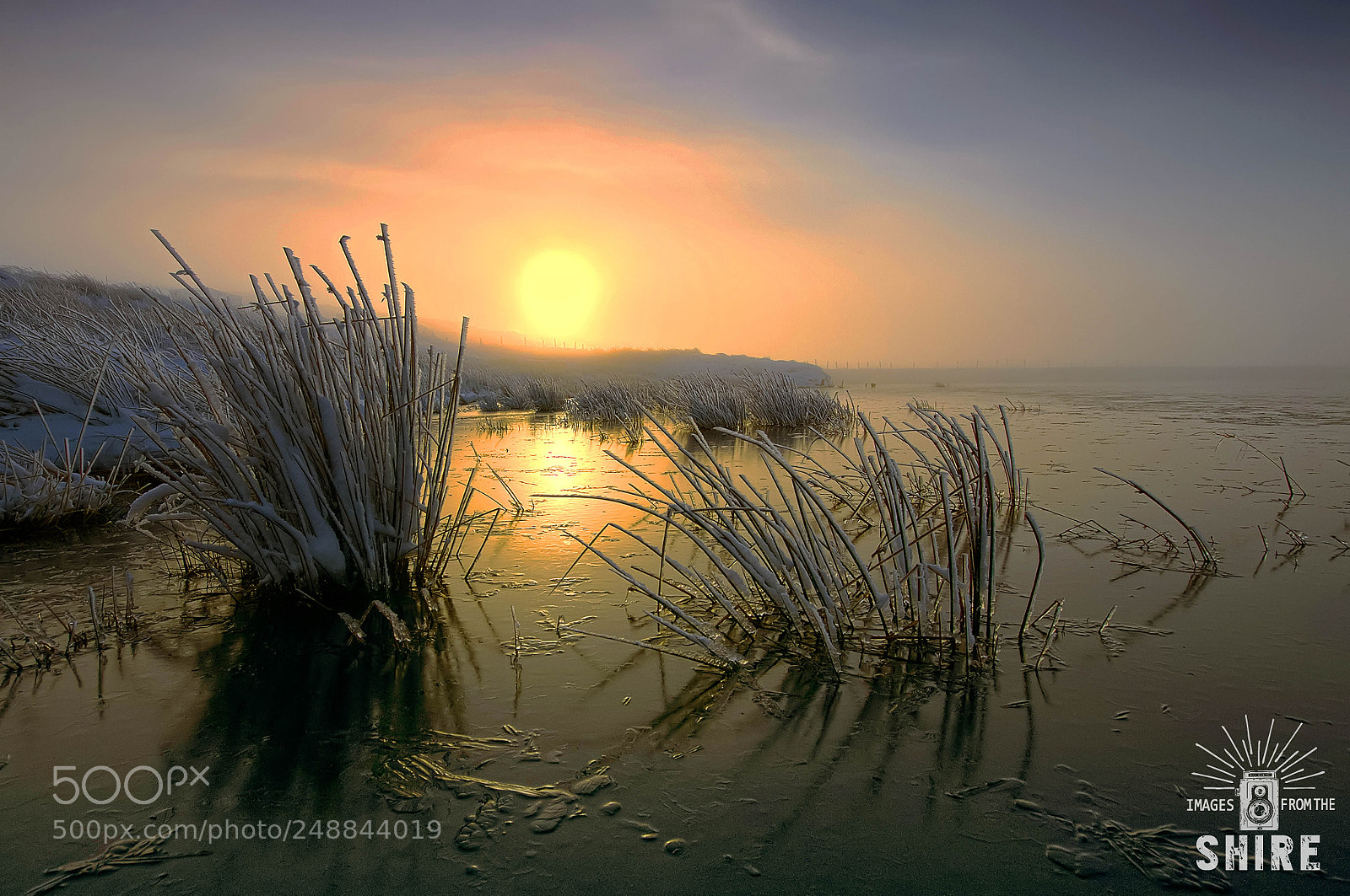 Nikon D300 sample photo. Frozen dawn photography