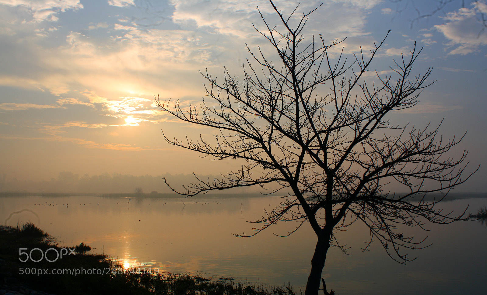 Canon EOS 1000D (EOS Digital Rebel XS / EOS Kiss F) sample photo. Sunise asan barrage dehradun photography