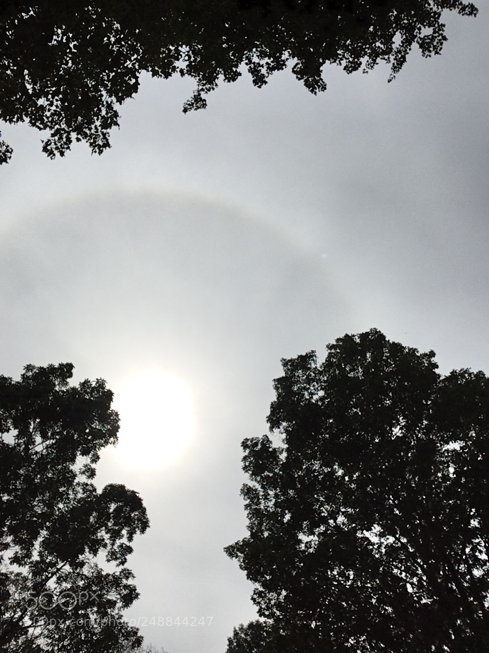 Apple iPhone SE sample photo. Eclipse photography