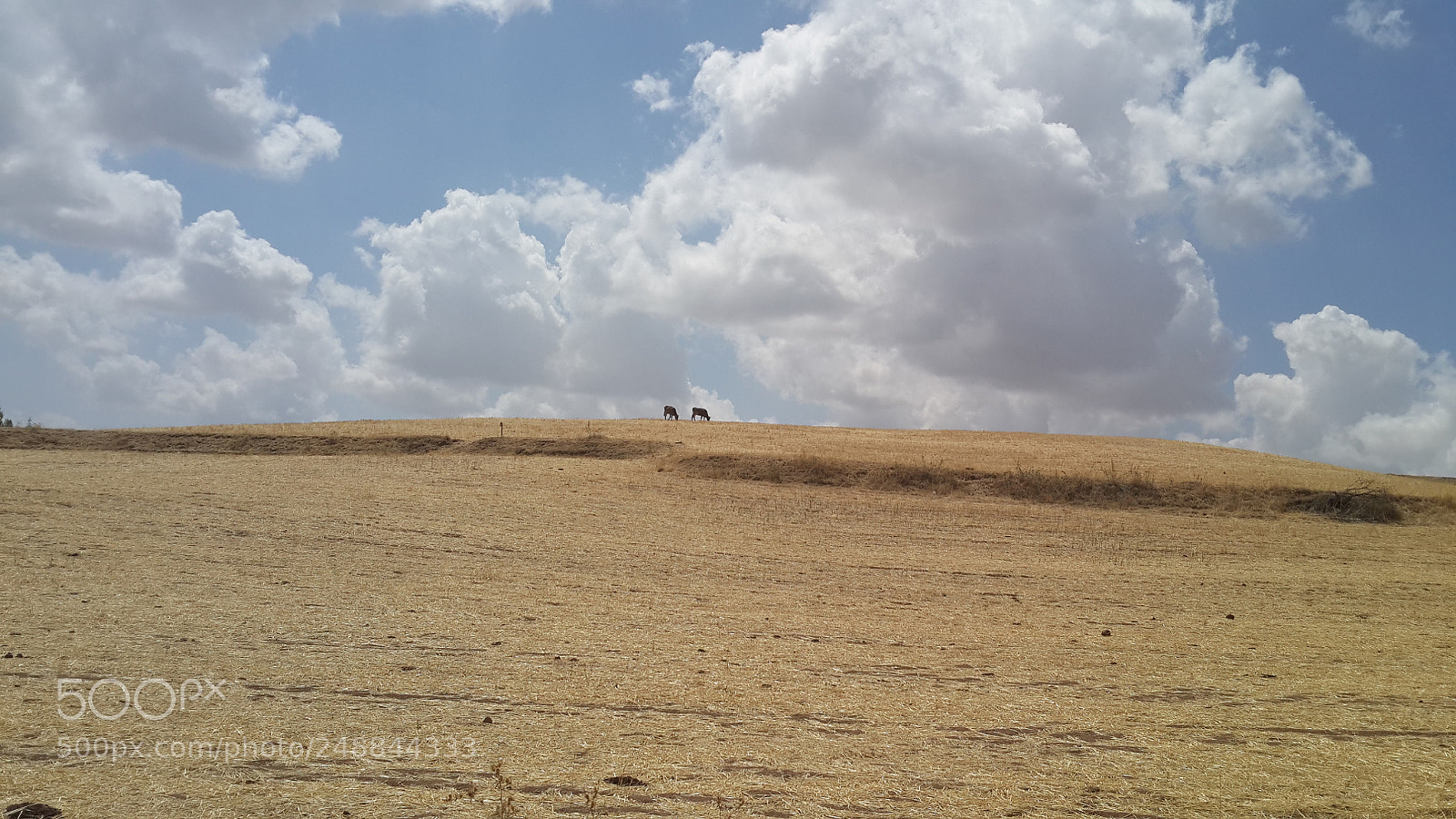 Samsung Galaxy S4 sample photo. Anadolu ...     anatolia ... photography