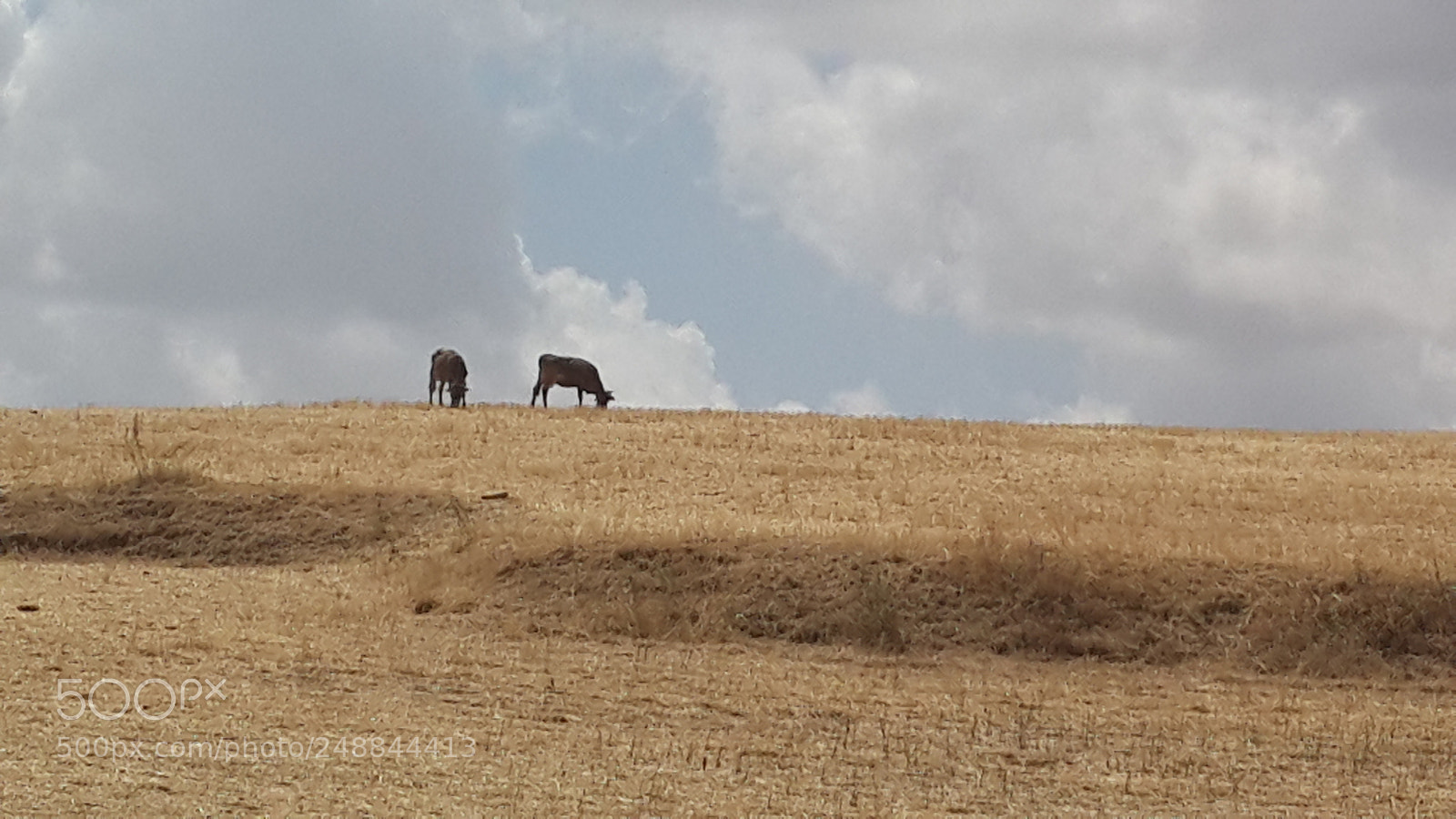 Samsung Galaxy S4 sample photo. Anadolu ...     anatolia ... photography
