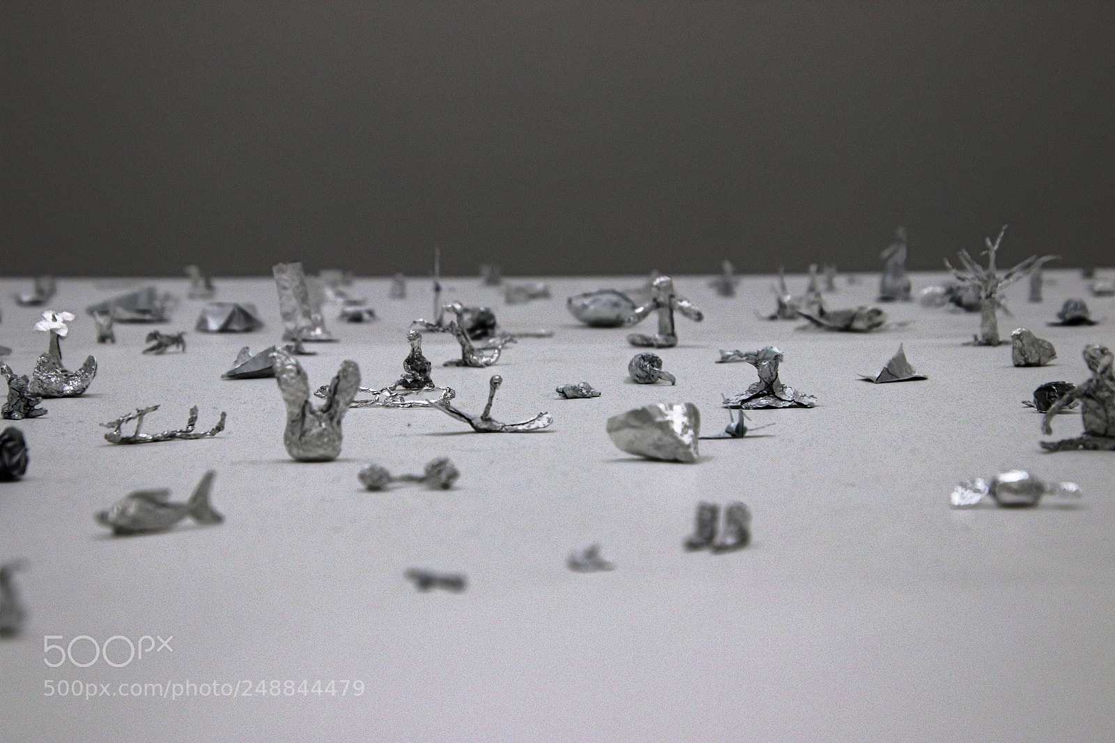 Canon EOS 77D (EOS 9000D / EOS 770D) sample photo. Bits of life photography