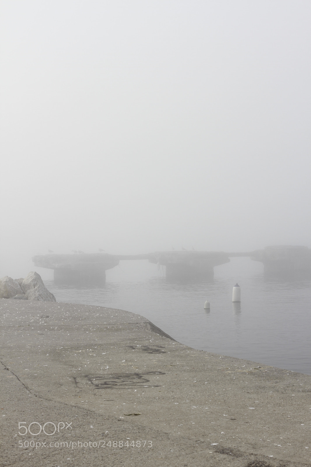 Canon EOS 7D + Canon EF 50mm F1.8 II sample photo. Foggy dock photography