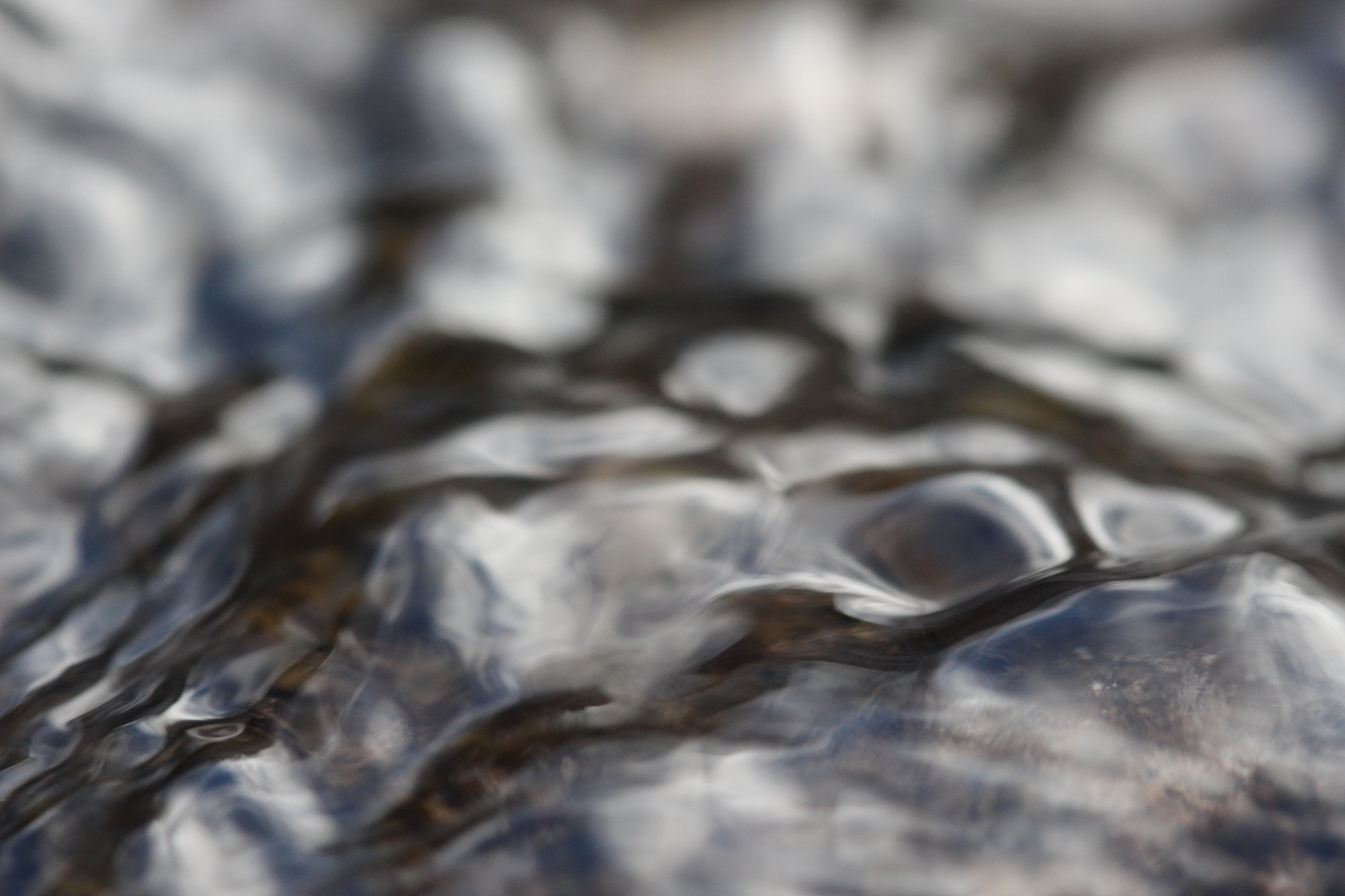 Canon EF 100mm F2.8 Macro USM sample photo. Never forget photography
