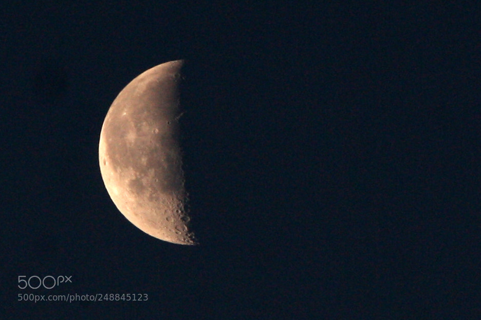 Canon EOS 1000D (EOS Digital Rebel XS / EOS Kiss F) sample photo. Moon today morning dehradun photography