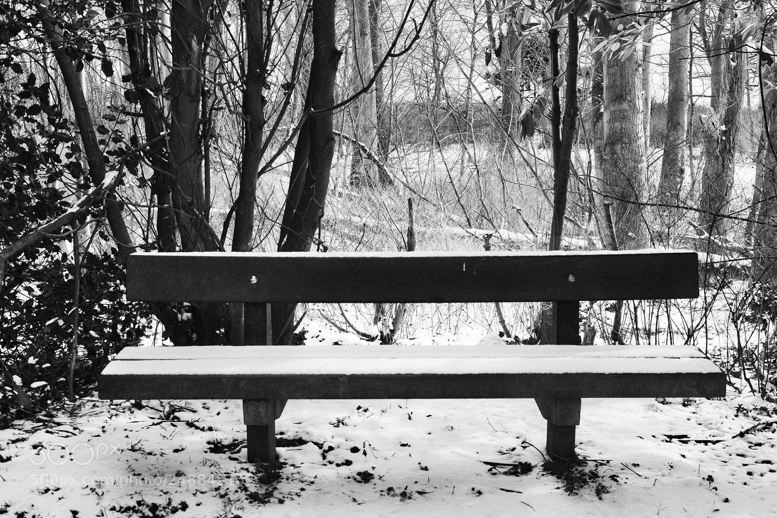 Fujifilm X-Pro2 sample photo. Cold seat. photography
