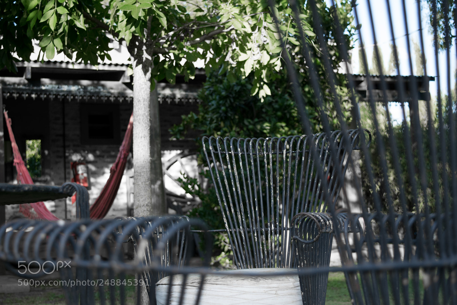 Nikon D3300 sample photo. Untitled photography