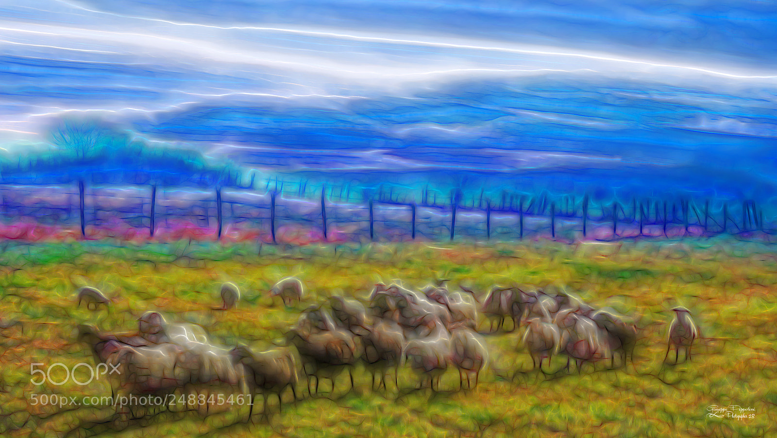 Canon PowerShot G3 X sample photo. The sheep photography