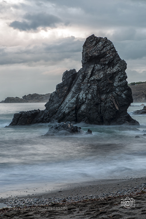 Nikon D610 sample photo. Garbet photography