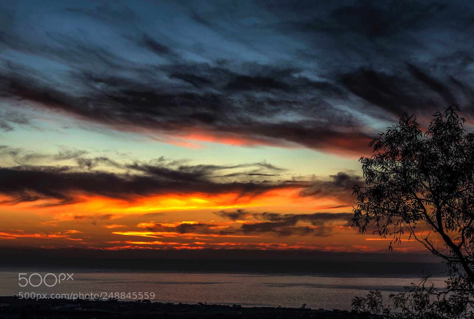 Nikon D800 sample photo. Colors photography