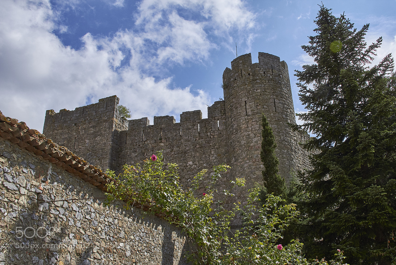 Canon EOS 550D (EOS Rebel T2i / EOS Kiss X4) sample photo. France, languedoc photography