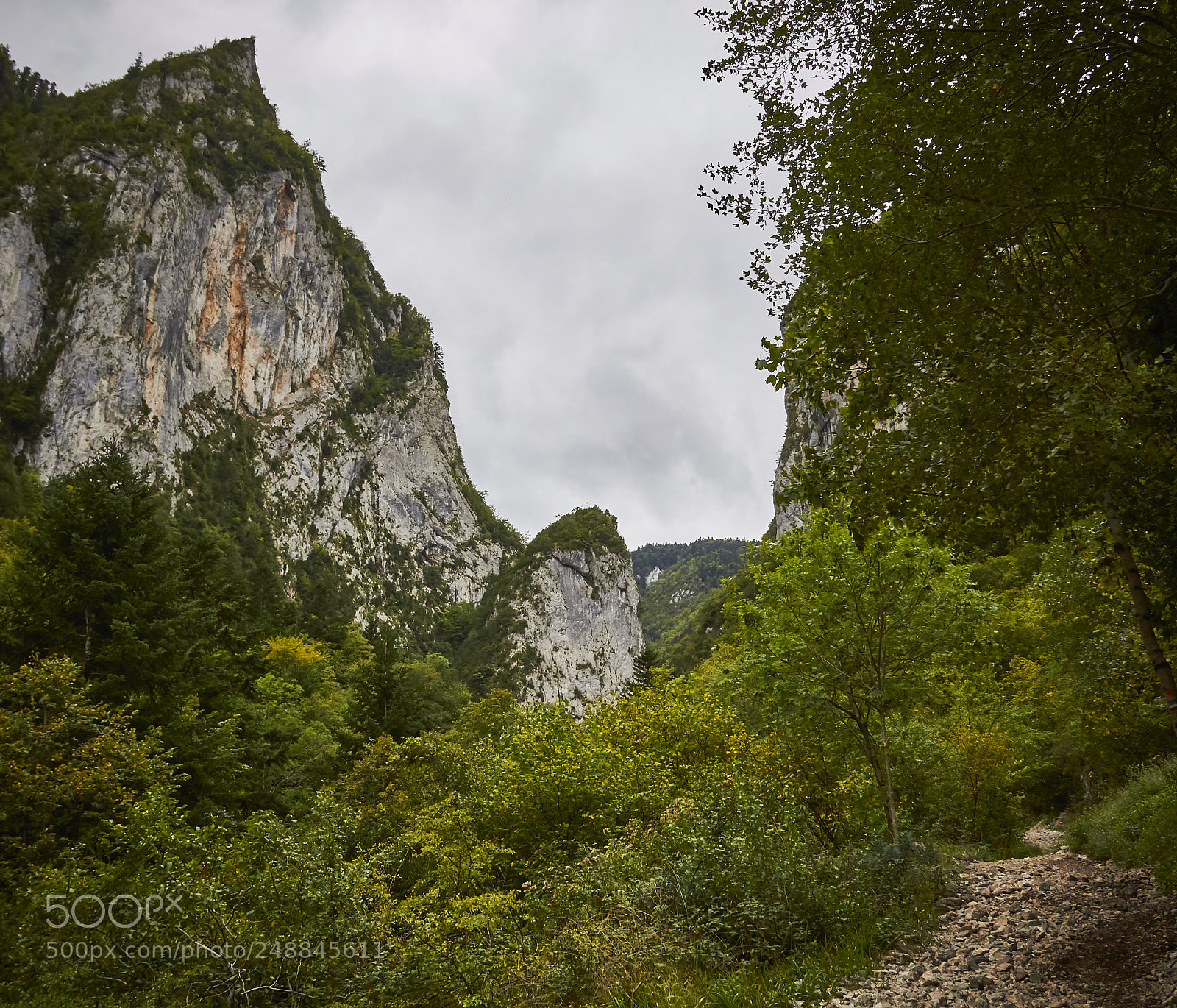 Canon EOS 550D (EOS Rebel T2i / EOS Kiss X4) sample photo. France, languedoc photography