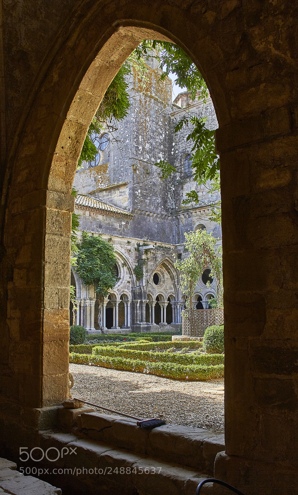 Canon EOS 550D (EOS Rebel T2i / EOS Kiss X4) sample photo. France, languedoc photography