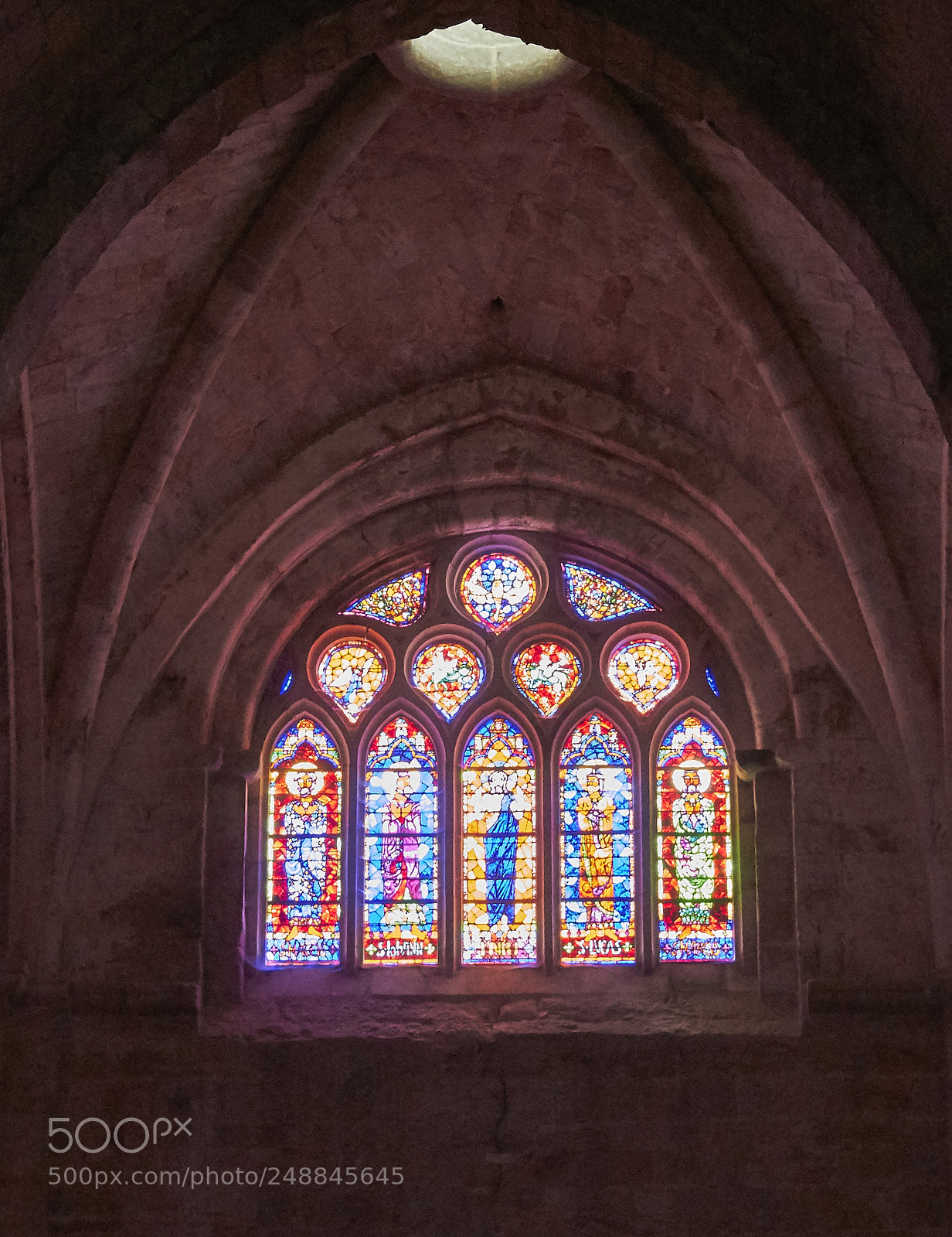 Canon EOS 550D (EOS Rebel T2i / EOS Kiss X4) sample photo. France, languedoc photography