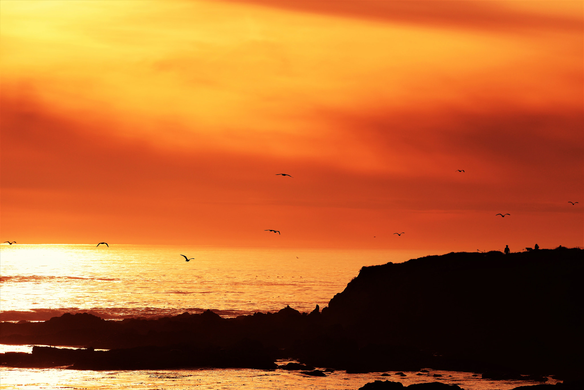 Nikon AF-S Nikkor 200-500mm F5.6E ED VR sample photo. Share day() photography