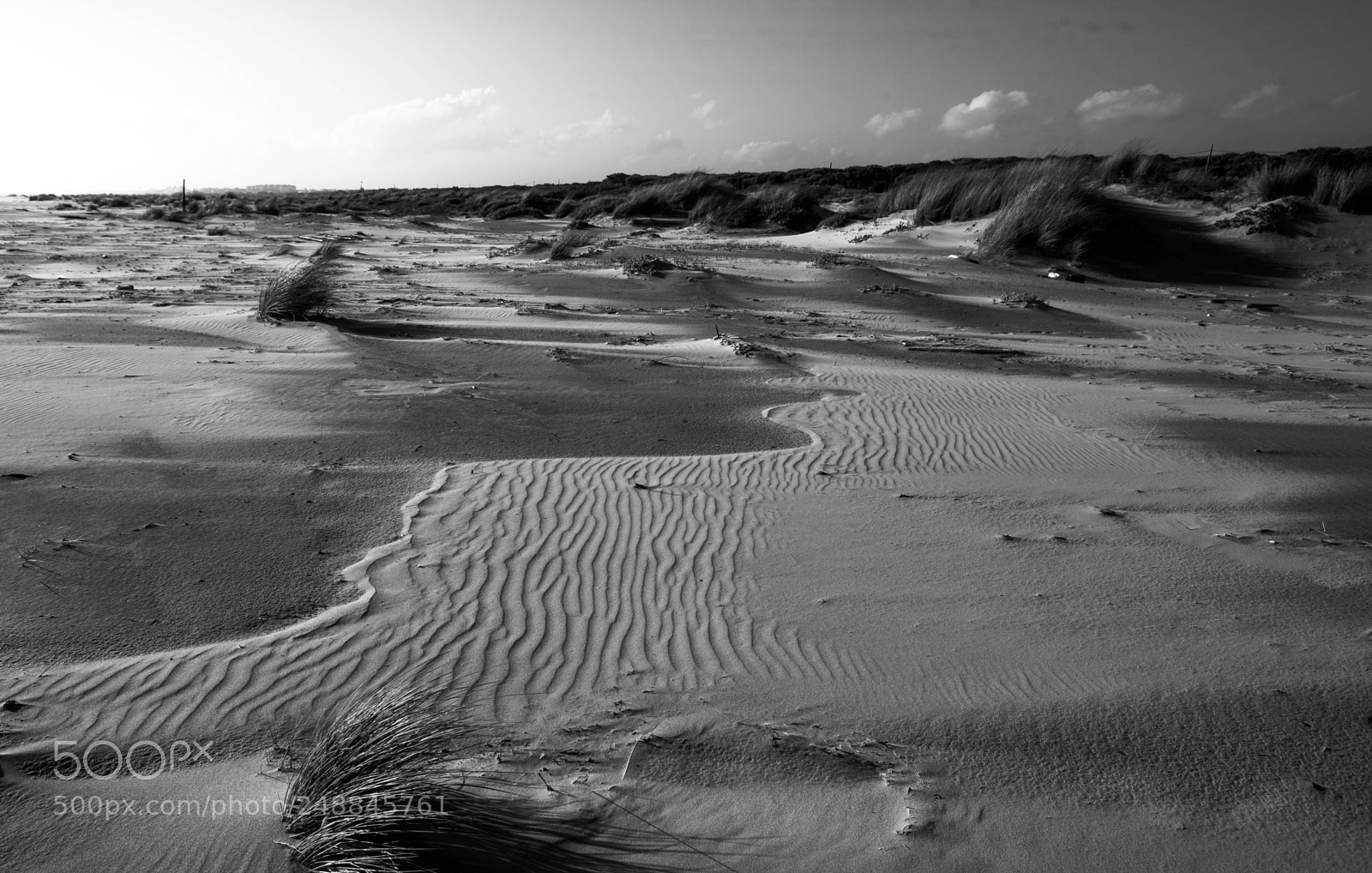 Canon EOS 6D sample photo. Beach photography
