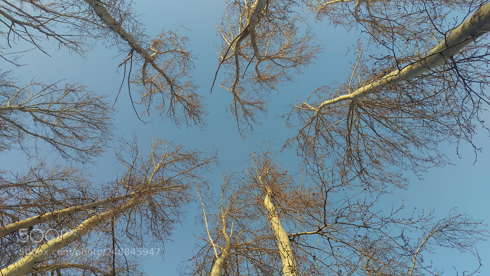HTC ONE M9 sample photo. The never ending debate photography
