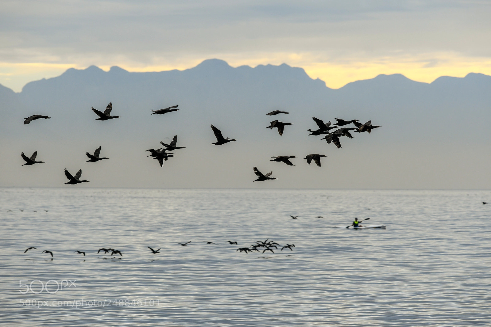 Nikon D850 sample photo. False bay photography