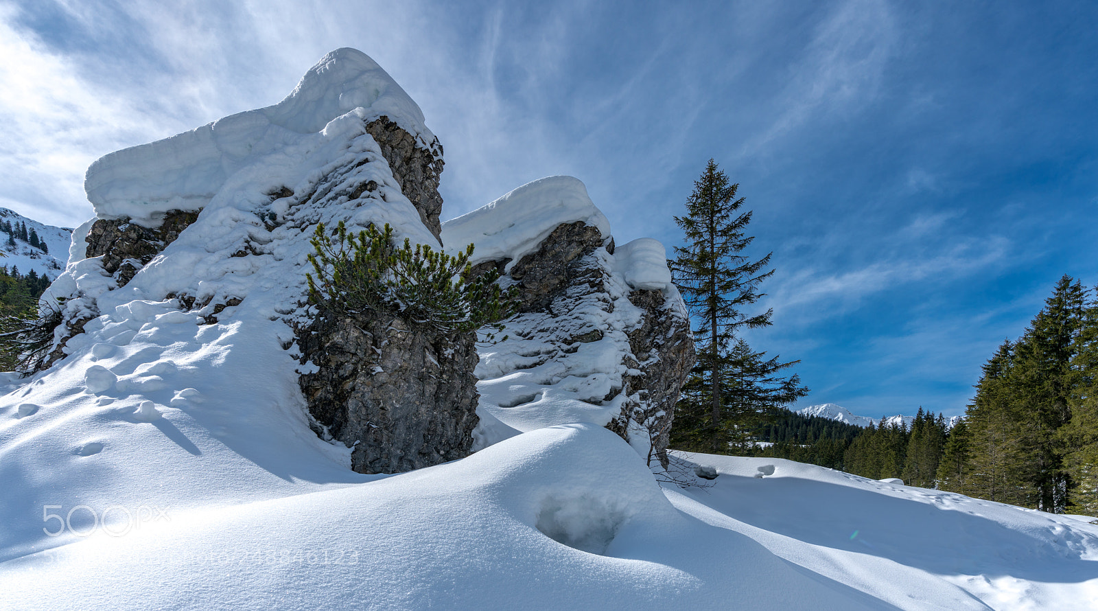 Sony a7R II sample photo. Schwarzwassertal photography
