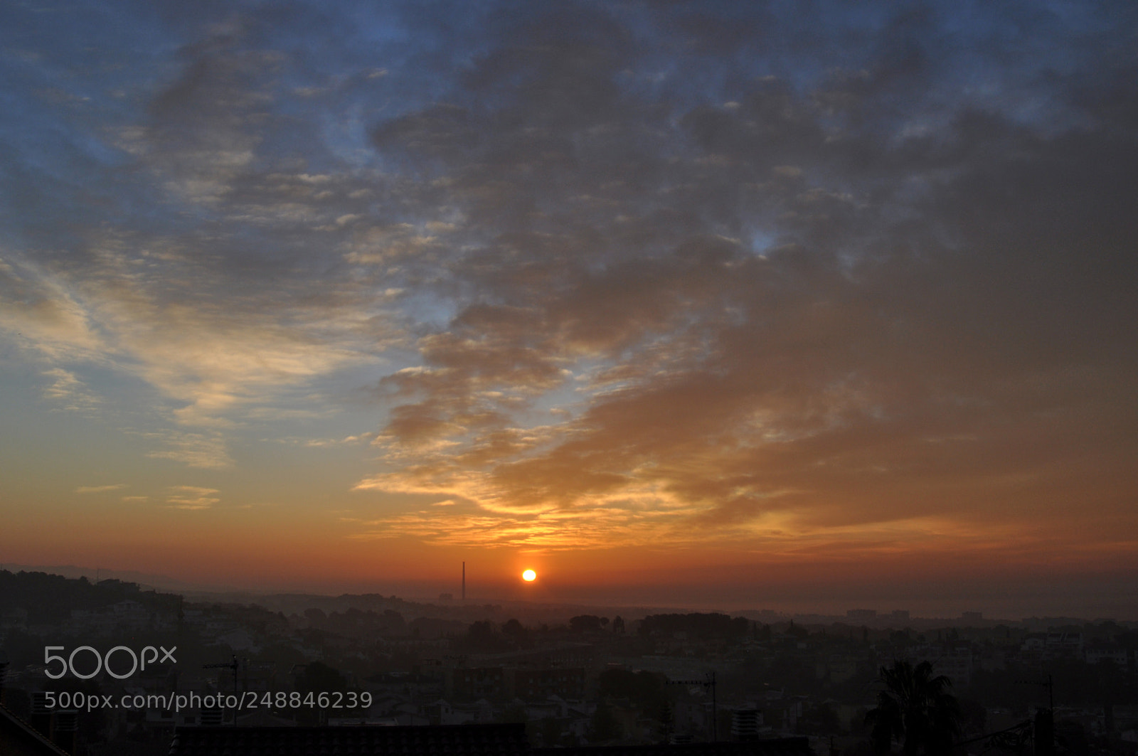Nikon D90 sample photo. Soft morning mist photography