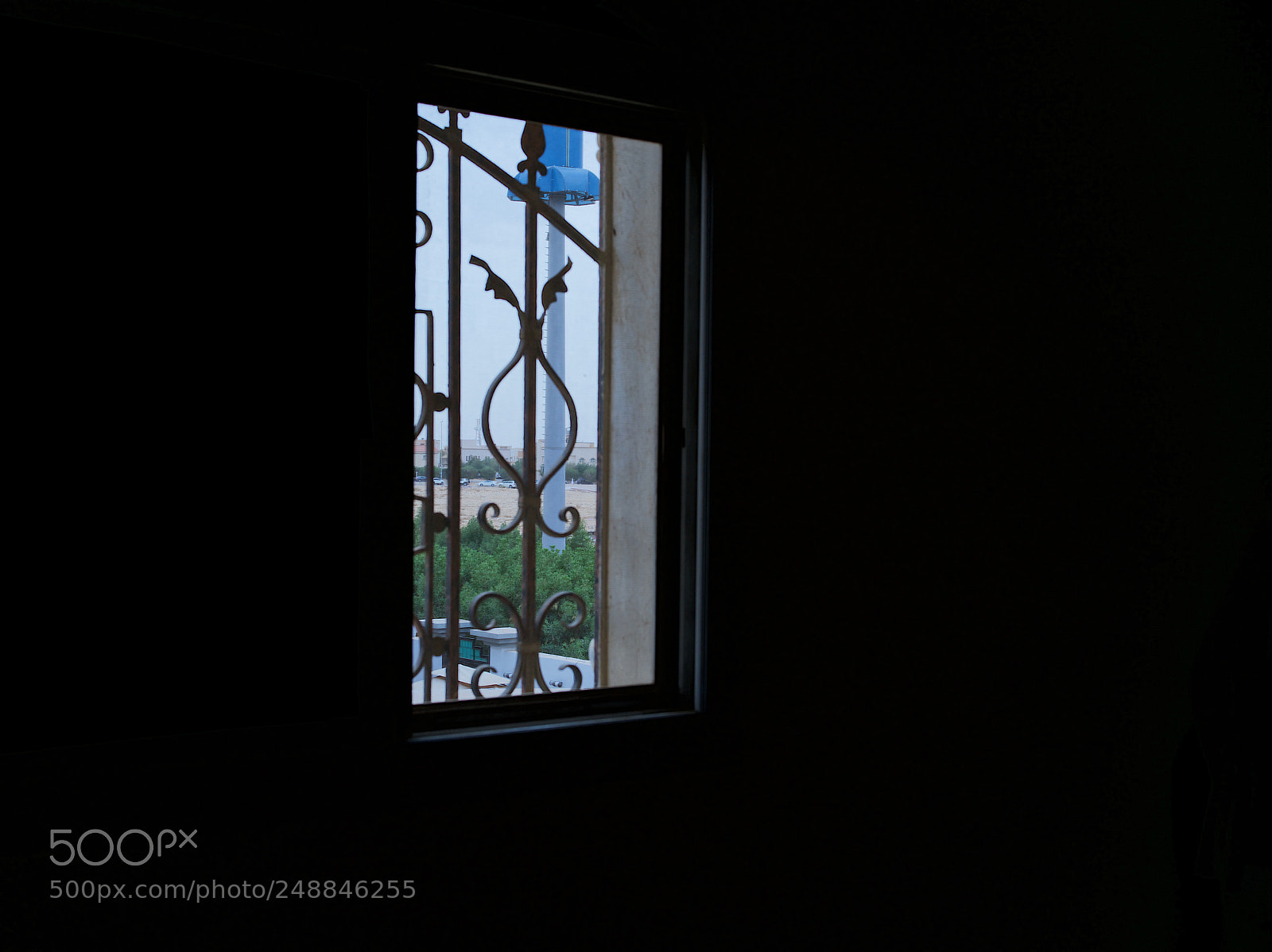 Sony a7R II sample photo. Untitled photography