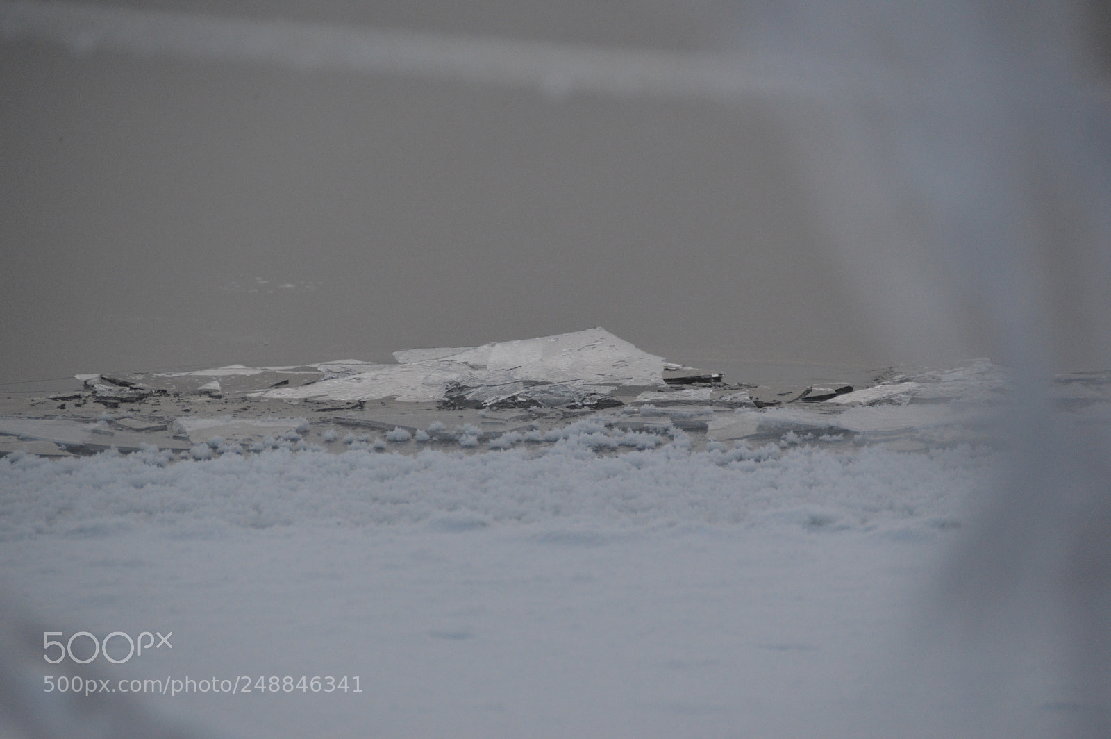 Nikon D3200 sample photo. Untitled photography