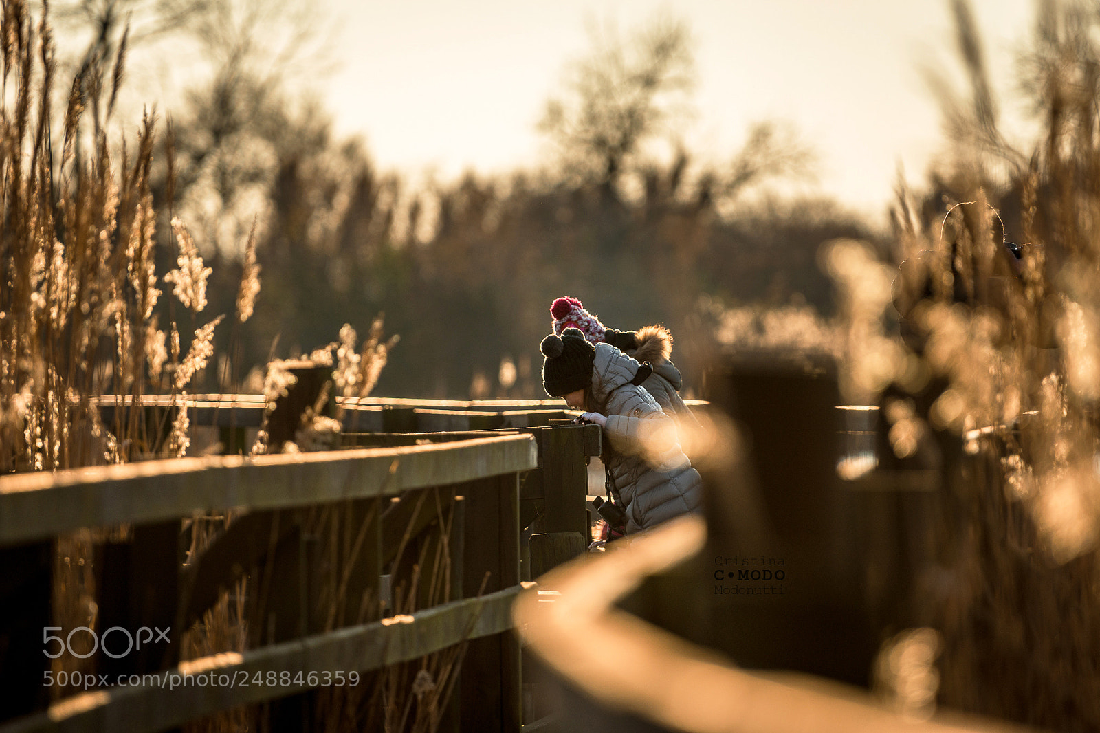 Nikon D7200 sample photo. A caccia di luce photography