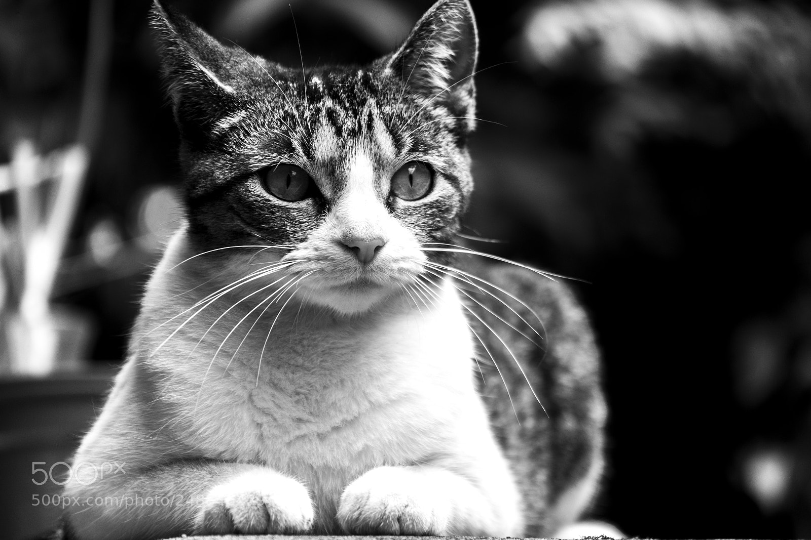 Nikon D3400 sample photo. Untitled photography