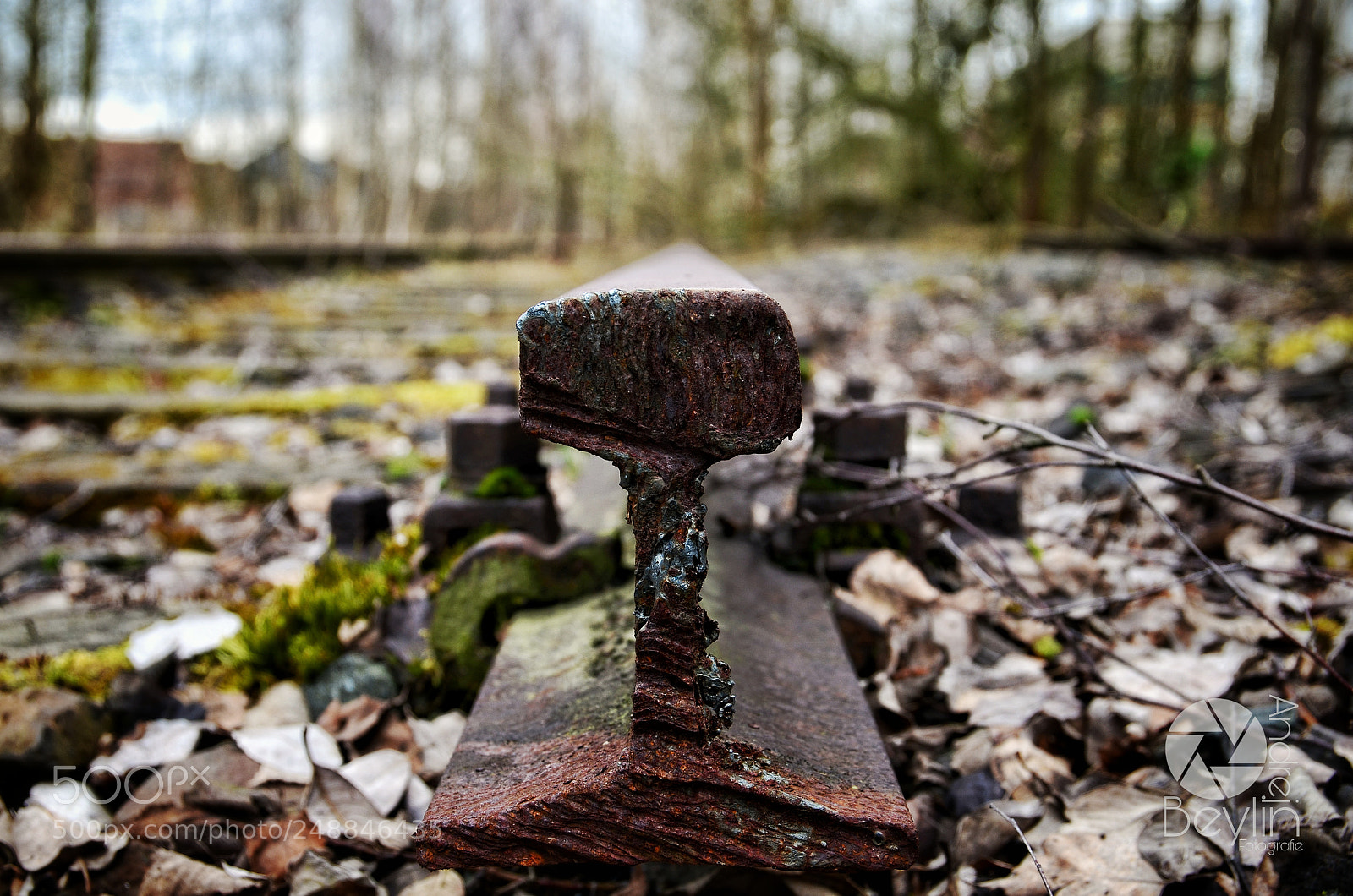 Nikon D5100 sample photo. End station photography