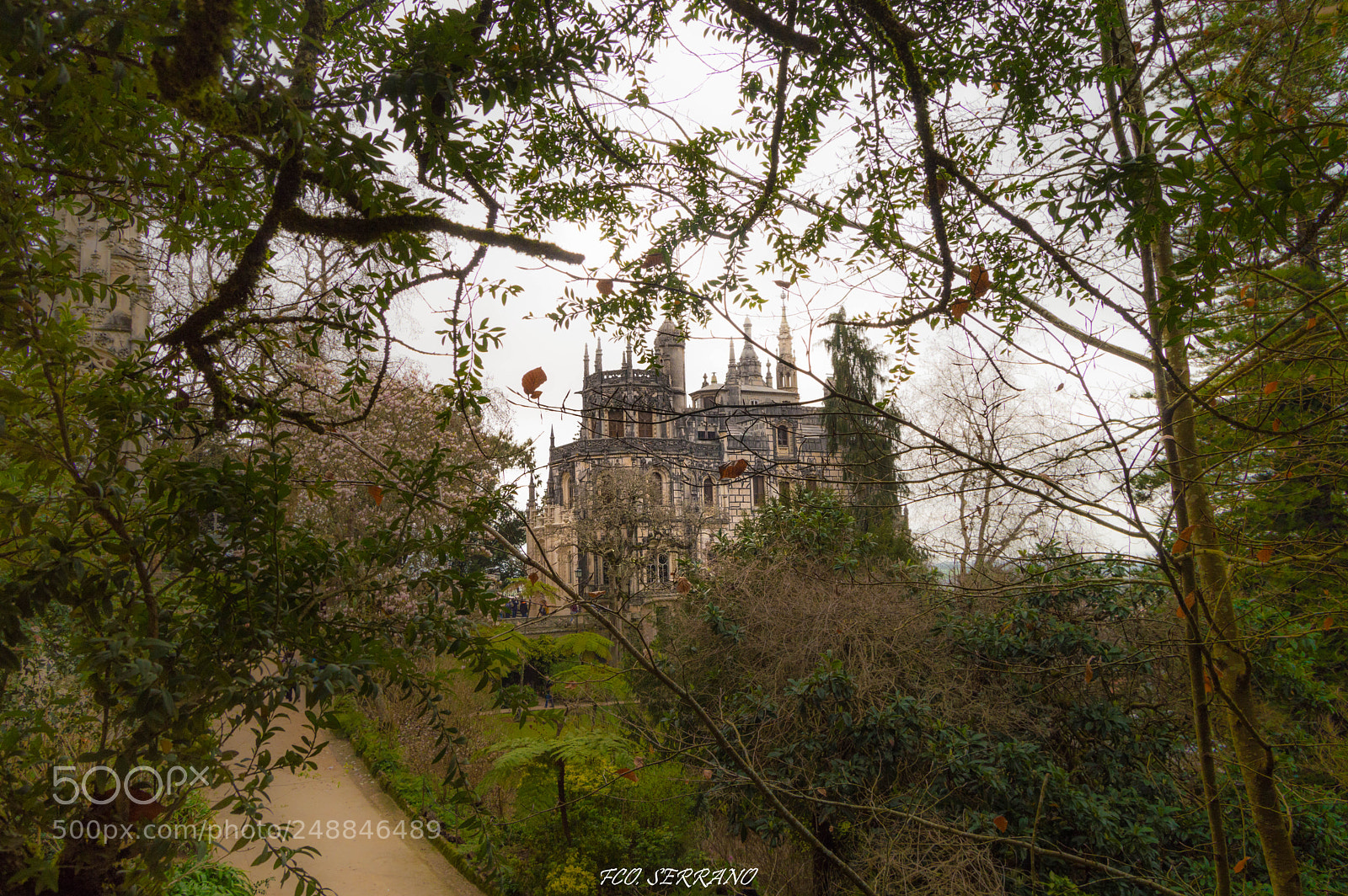Nikon D3200 sample photo. Palacio da regaleira photography