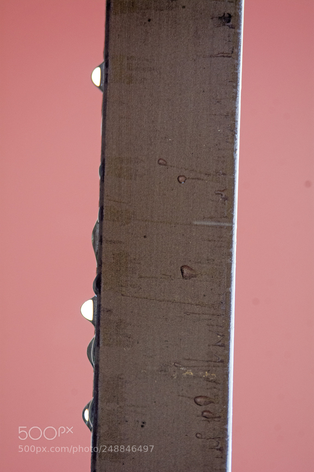 Nikon D7100 sample photo. Vertical photography