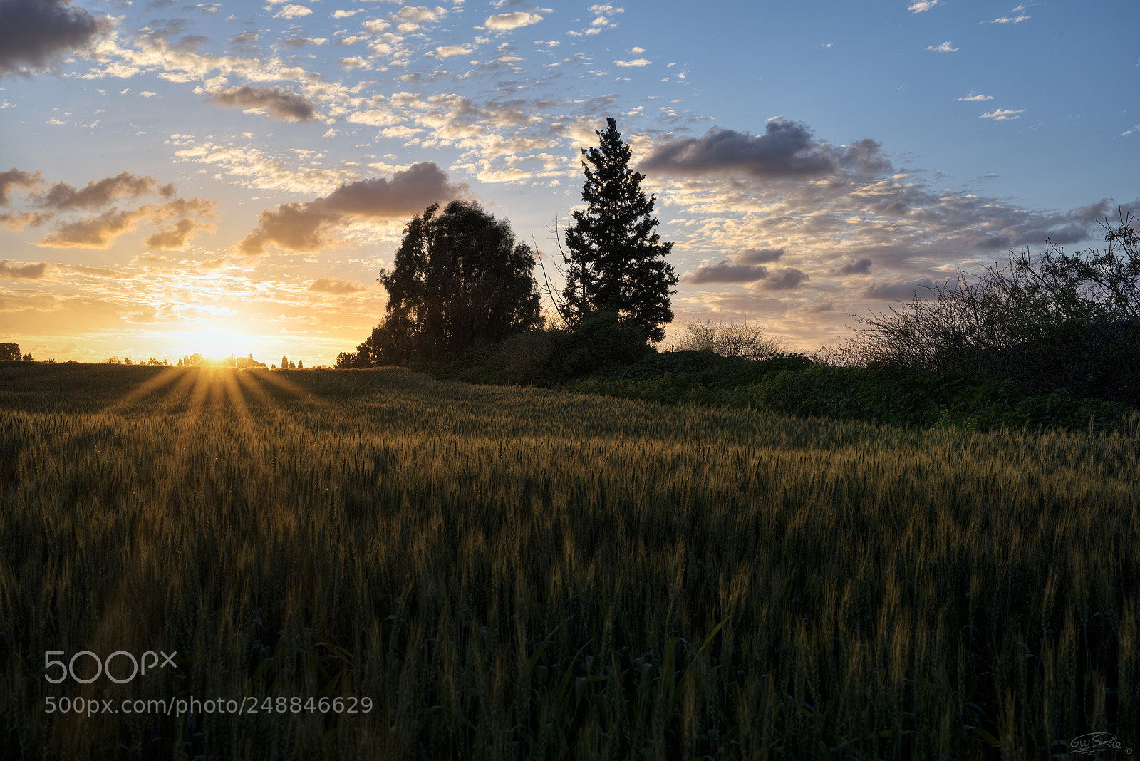 Nikon D810 sample photo. Sunset photography