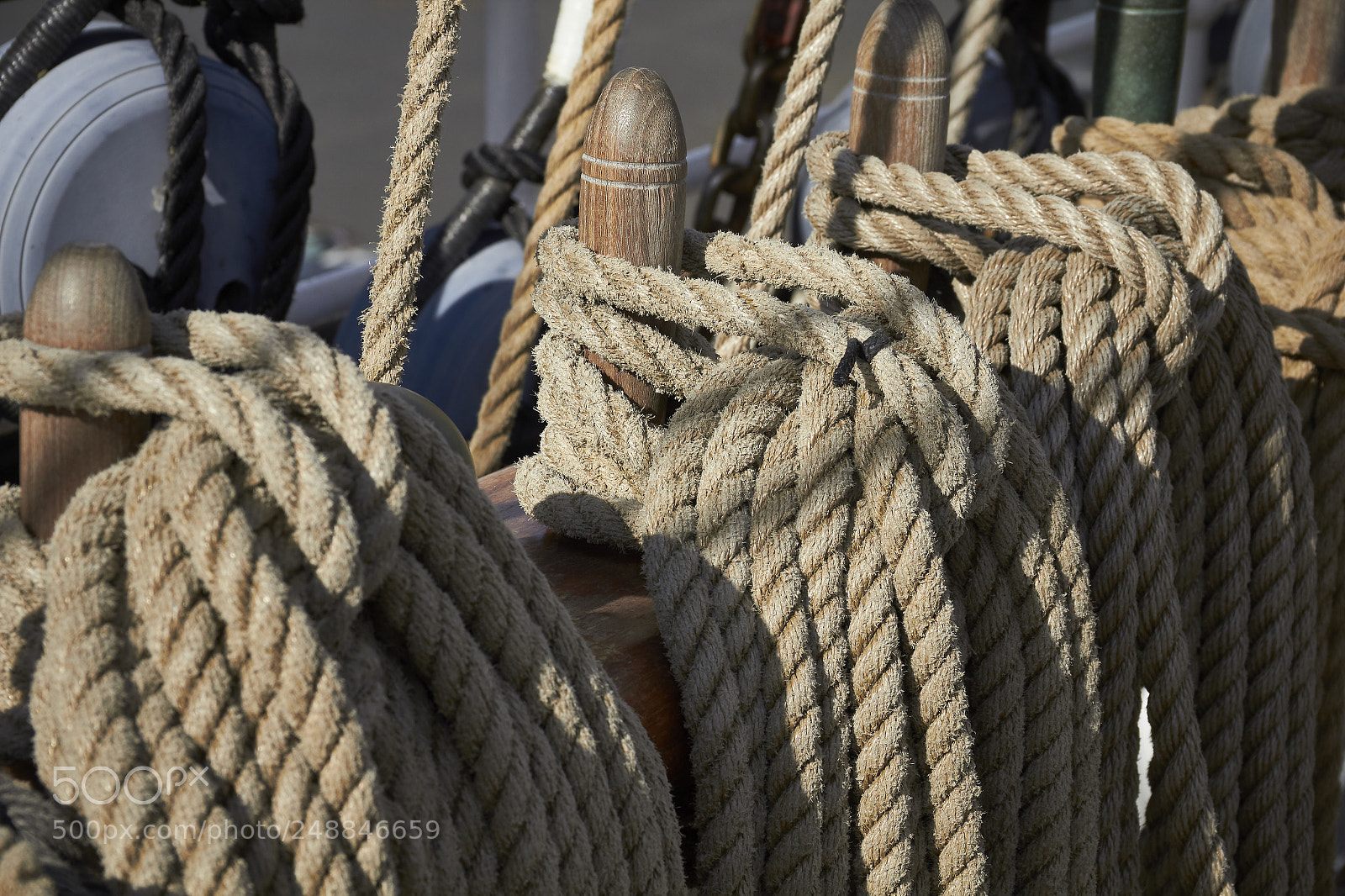 Canon EOS 550D (EOS Rebel T2i / EOS Kiss X4) sample photo. Sail amsterdam 2010 photography