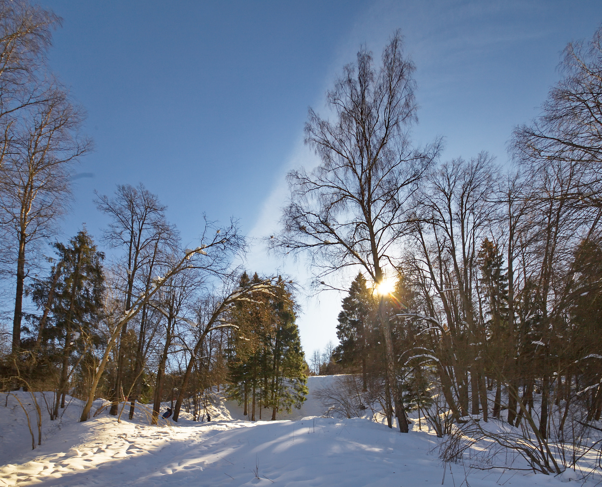 Sigma 10-20mm F3.5 EX DC HSM sample photo. Солнечный день photography