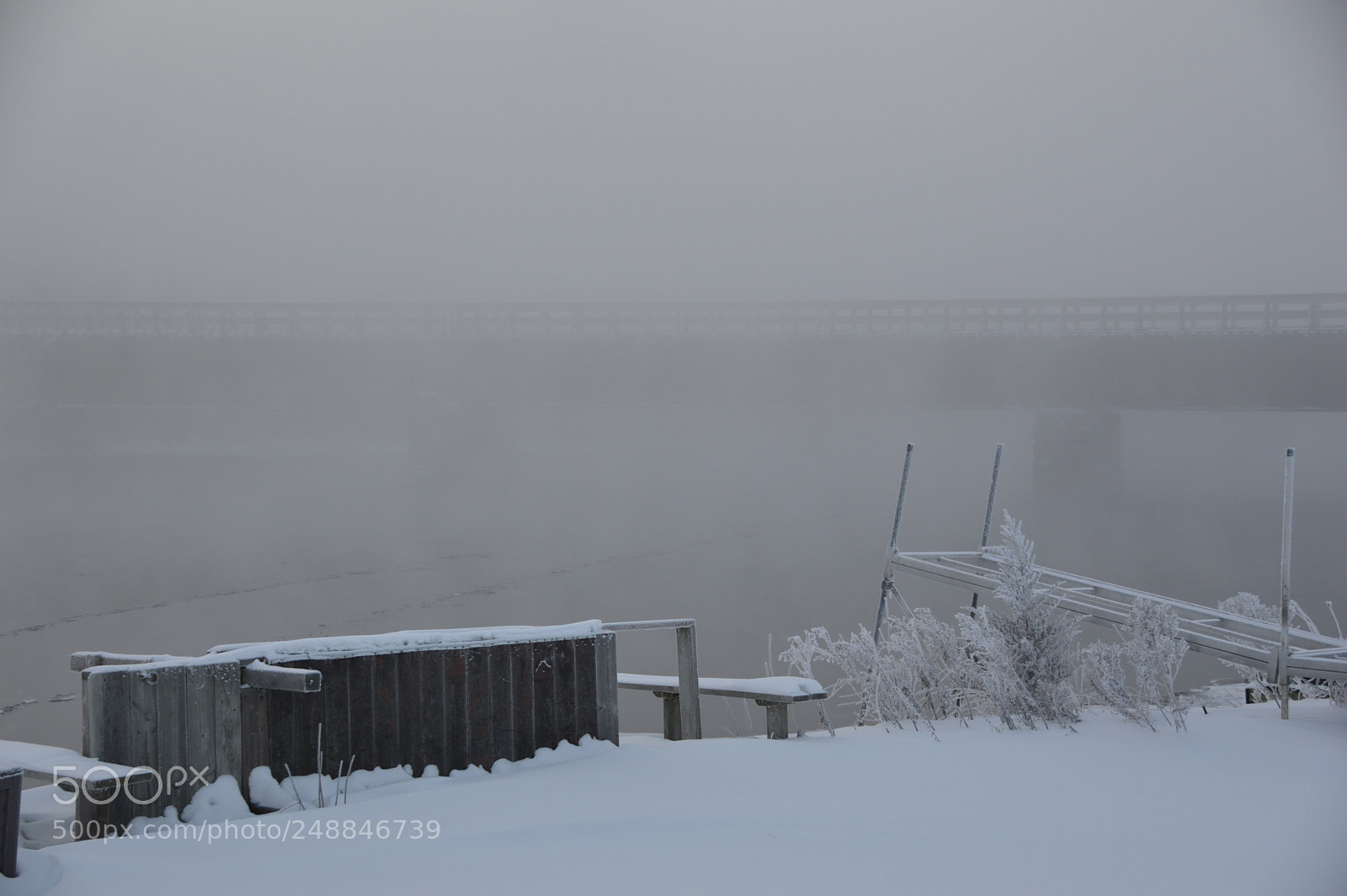 Nikon D3200 sample photo. Untitled photography
