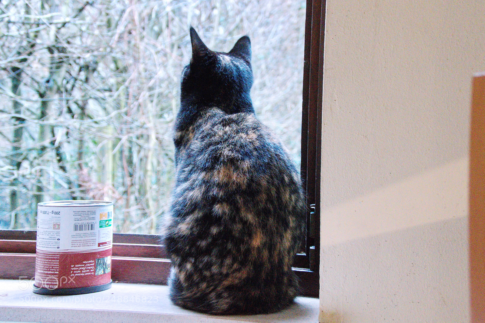 Panasonic Lumix DMC-FZ1000 sample photo. Ccc photography