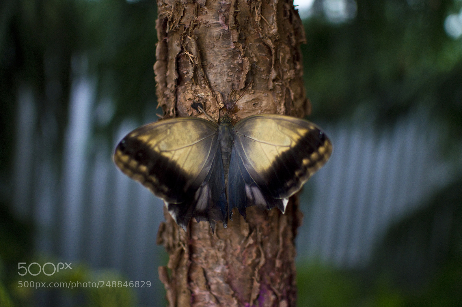 Nikon D3200 sample photo. Calm and beautiful photography