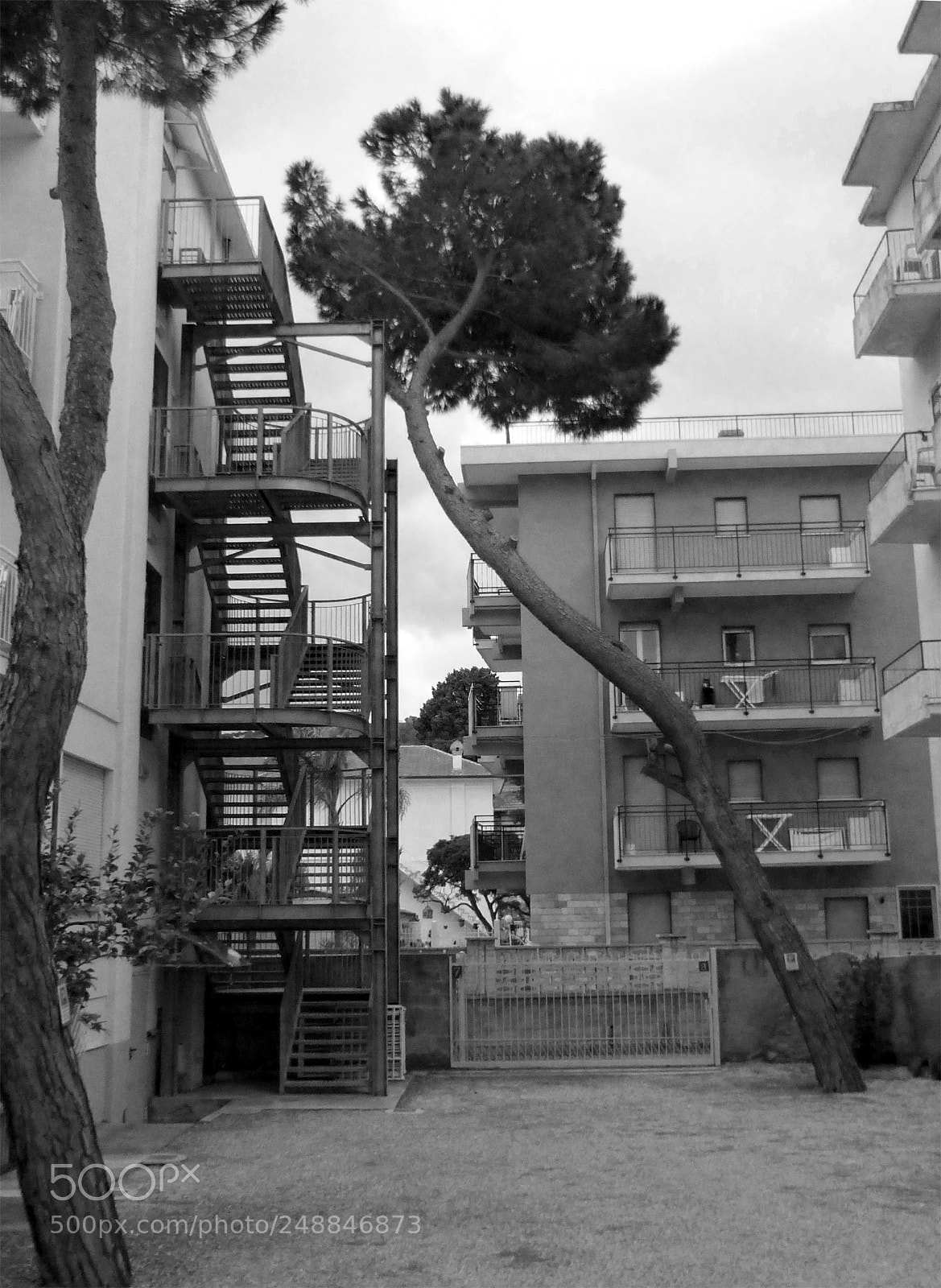 Panasonic Lumix DMC-ZS25 (Lumix DMC-TZ35) sample photo. La giovane scala ed photography