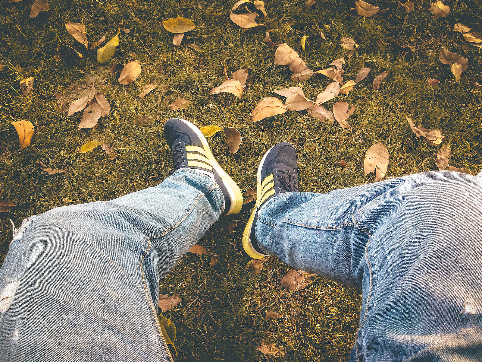 Xiaomi Redmi Note 4 sample photo. Your lie in april photography