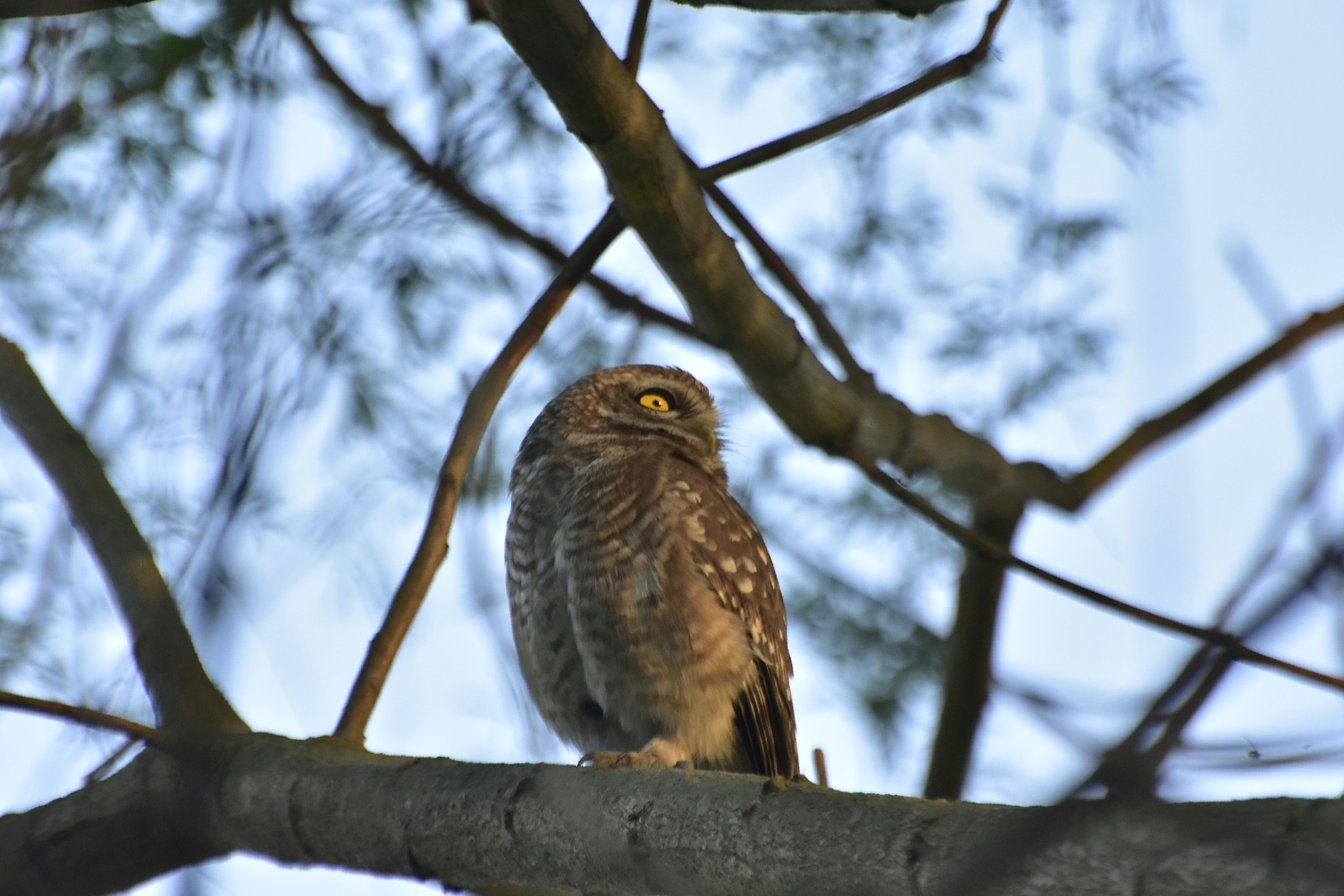 Nikon D7200 sample photo