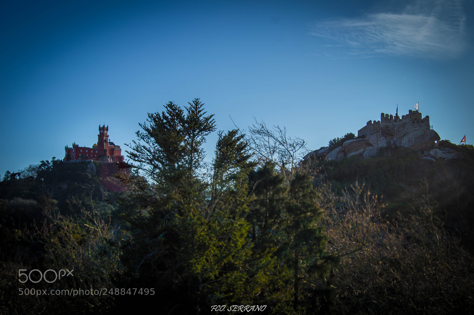 Nikon D3200 sample photo. Palacio da pena y photography