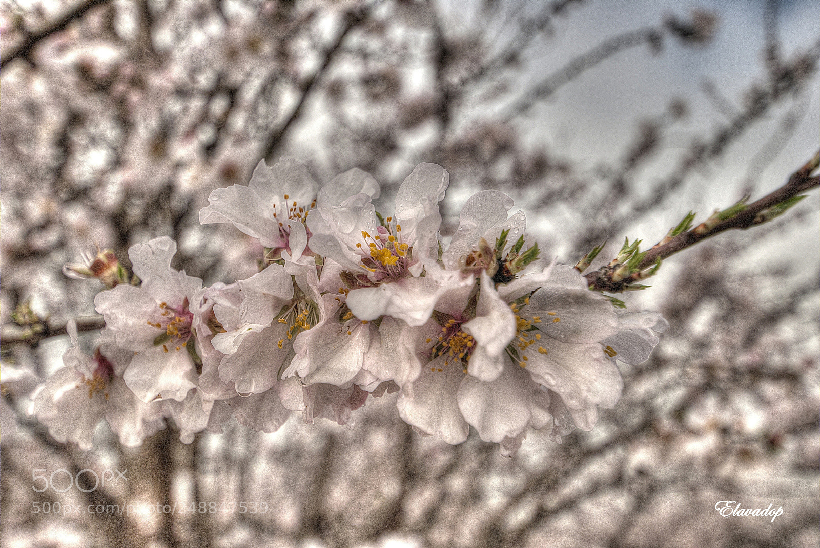 Nikon D3000 sample photo. Granada photography