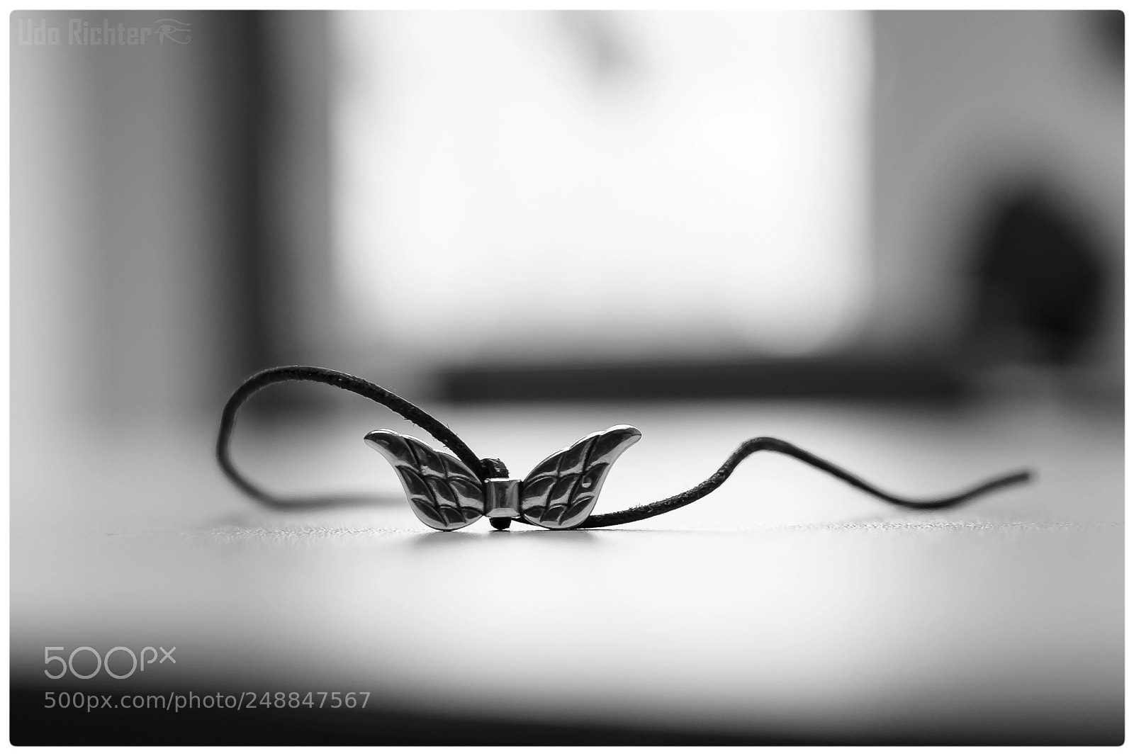 Fujifilm X-T20 sample photo. 'spread your wings' photography