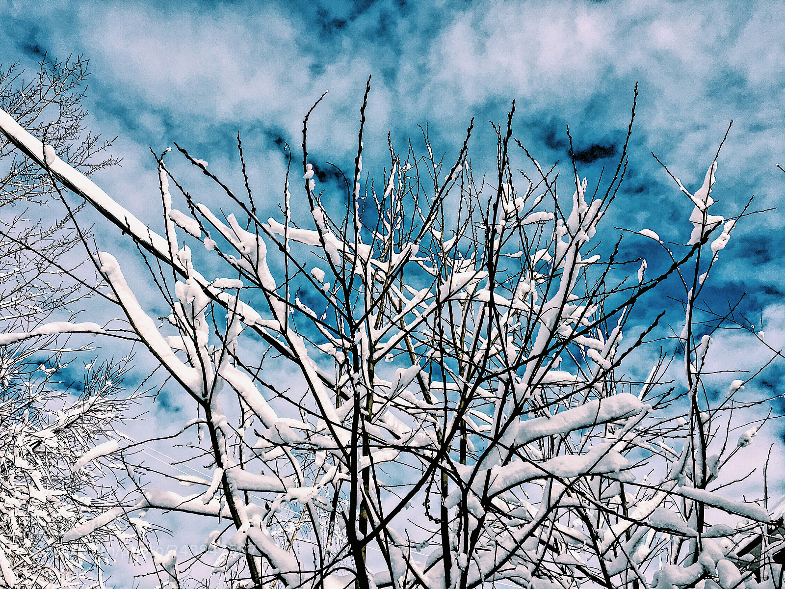 Apple iPhone 6s sample photo. Untitled photography