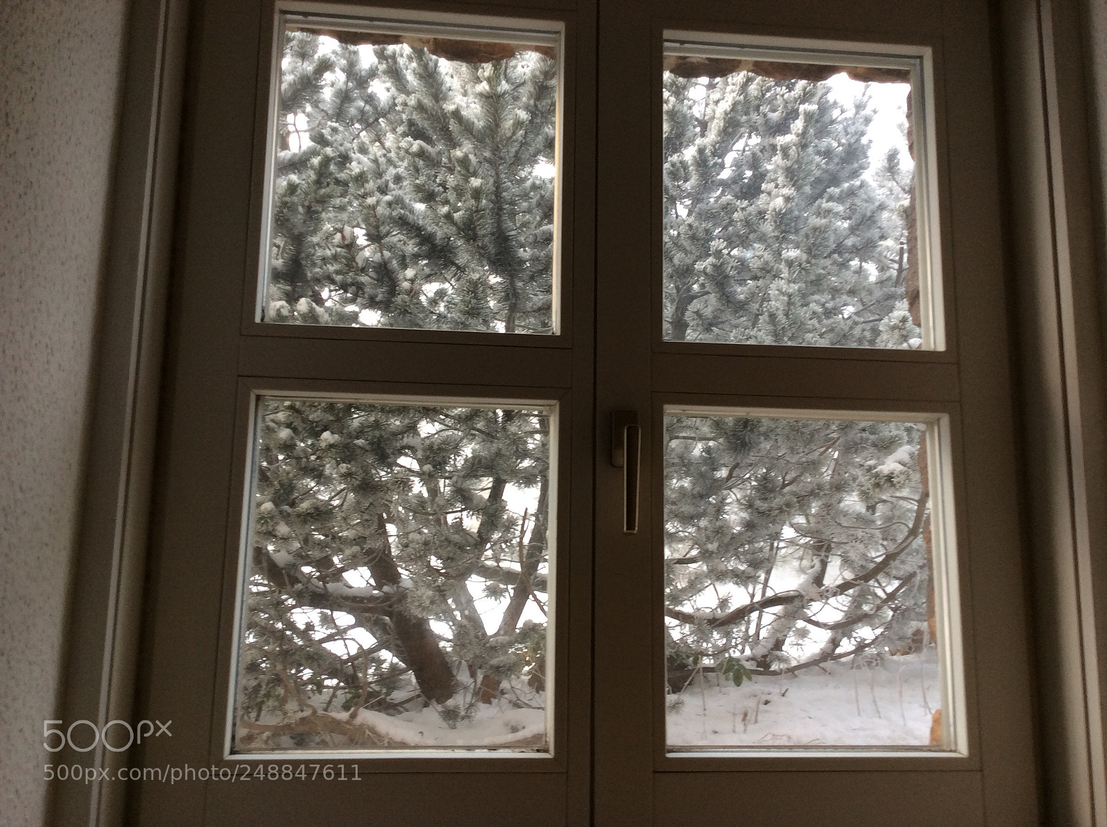 Apple iPad mini 2 sample photo. Altenberg 2018 photography