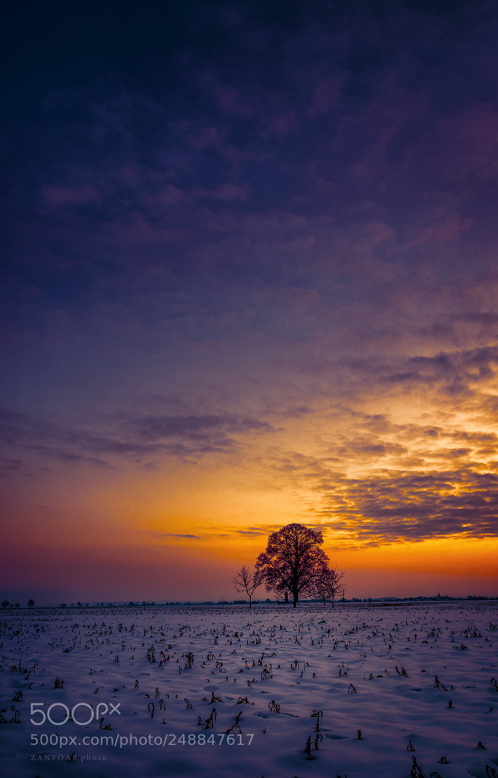 Nikon D7000 sample photo. Loner in the landscape photography