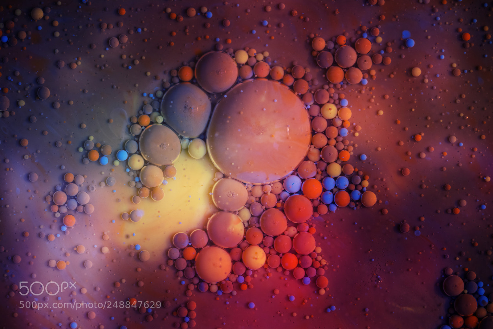 Sony a7R sample photo. Ocular #2 photography