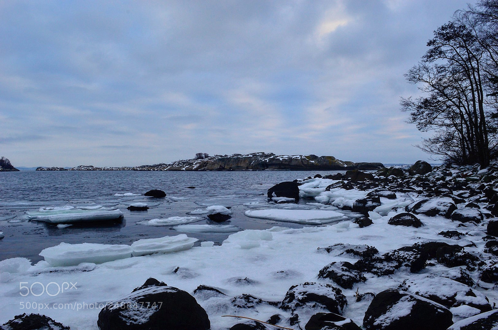Nikon D3200 sample photo. It should be spring photography